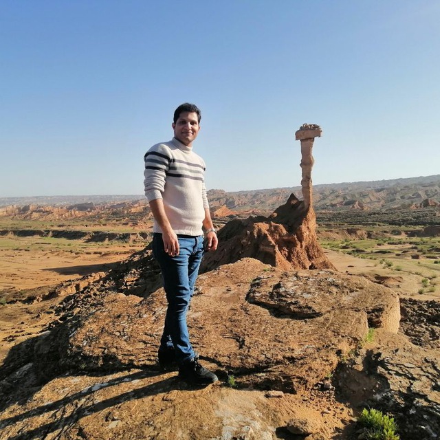 محسن دهوکی